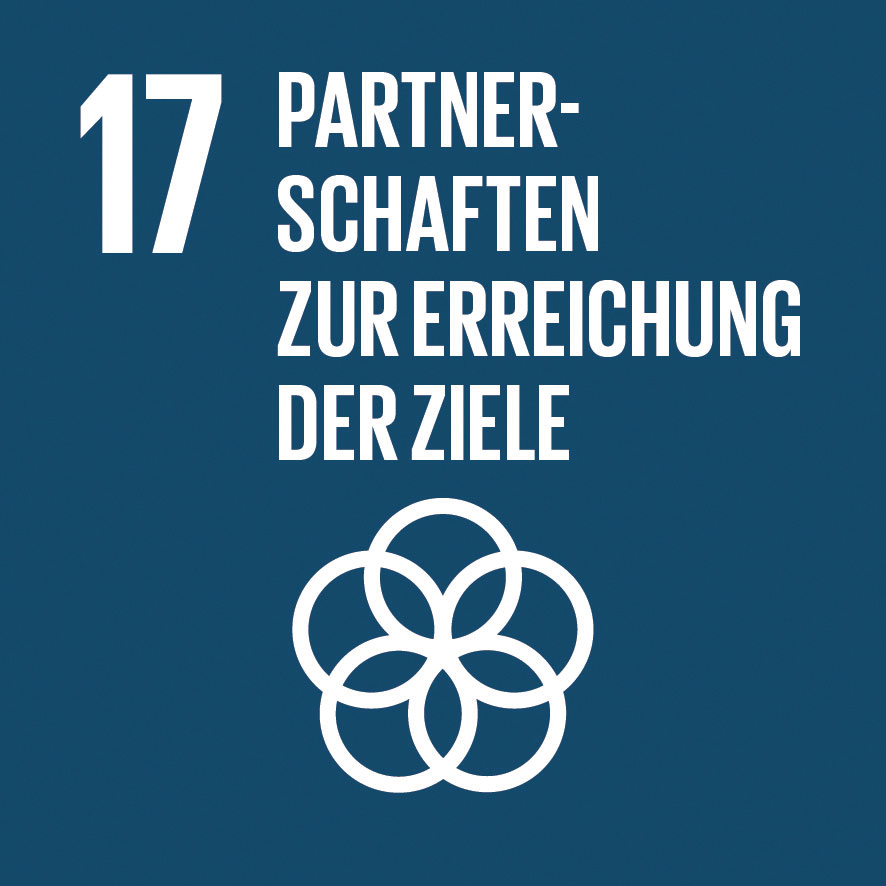 SDG-icon-DE-17.jpg